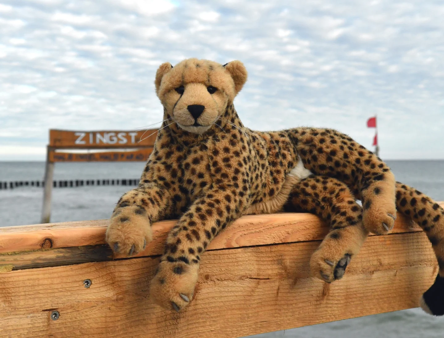 Photo by Juba Gepard on May 24, 2025.