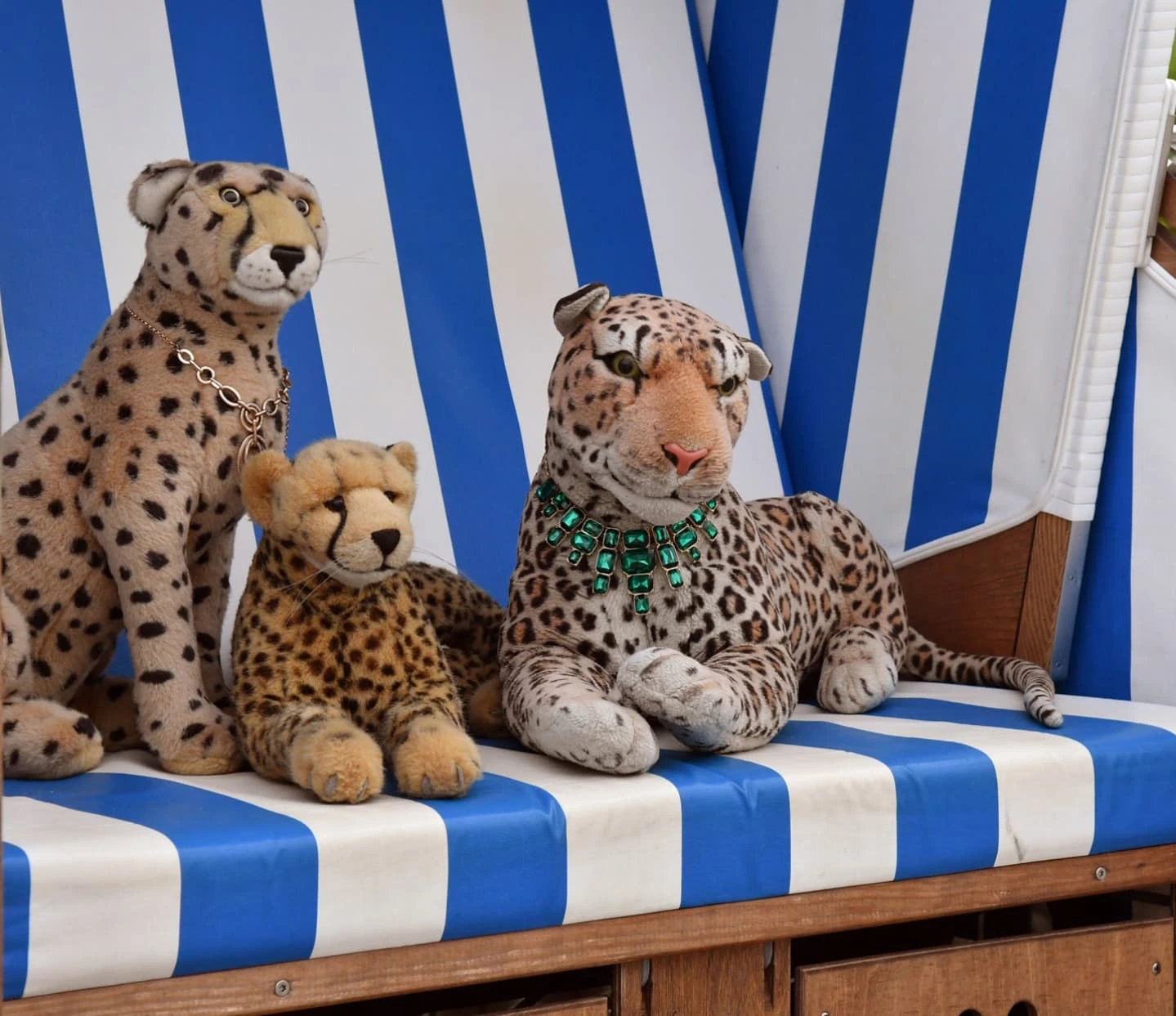 Photo by Juba Gepard on May 25, 2025.