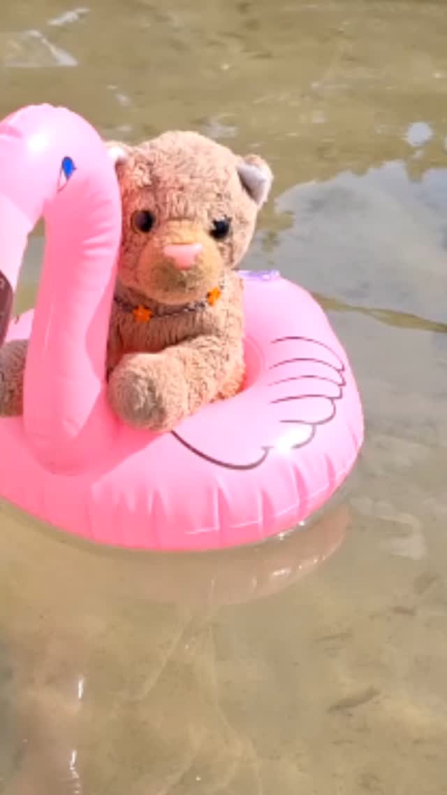 😼😽😺😸 Floooooating...  [#Flamingo] [#FlamingoFloatie] [#Floater] [#Lake] [#Beach] [#Sand] [#Water] [#JubaOnTour] [#Plushie] [#instaplushies] [#stuffies] [#plushielife]