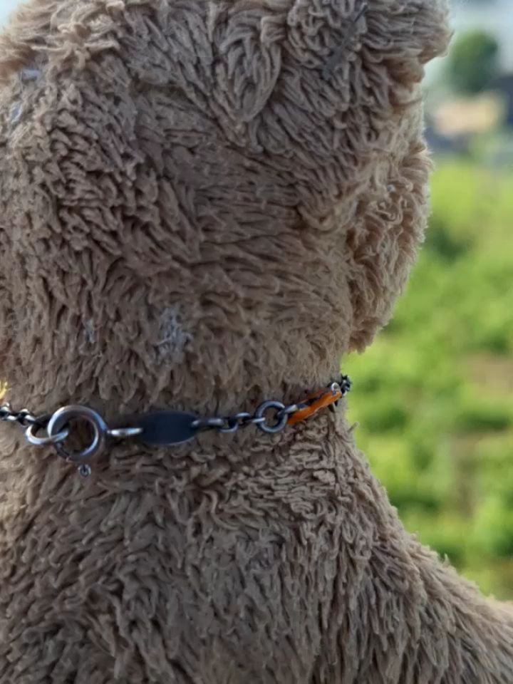 Sechs lange Stunden hockten wir im Auto und erwarteten unsere Ankunft. Wer, so wie ich, keine Ahnung davon hat, was eine Stunde überhaupt ist, der kann sich eine Stunde vorstellen wie eine Ewigkeit. Sechs Ewigkeiten fuhren wir also, langten letztlich an und...