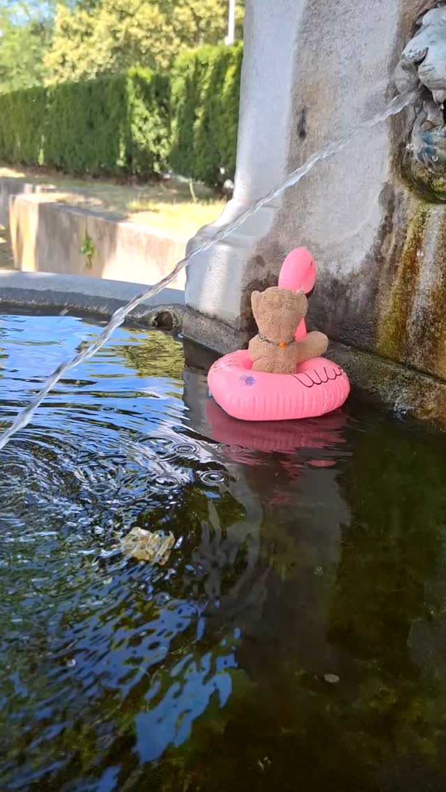 Flamingo riding in the little fountain – round two.  [#Wiesbaden] [#SchlossBiebrich] [#BiebricherSchloss] [#Brunnen] [#Well] [#Flamingo] [#Floatie] [#FlamingoFloatie] [#AufReisen] [#Urlaub] [#ReiseReise] [#Vacation] [#JubaOnTour] [#Plushie] [#instaplushies]...