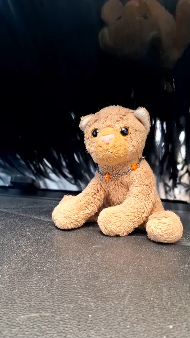 Hallo, hier ist eure supersweete Swede, und wir befinden uns gerade inmitten einer riesigen Waschmaschine für Autos - eine Autowaschmaschine also.  Das wurde nur deshalb nötig, weil eine Horde Vögel, so scheint's, zur gleichen Zeit das Bedürfnis nach...