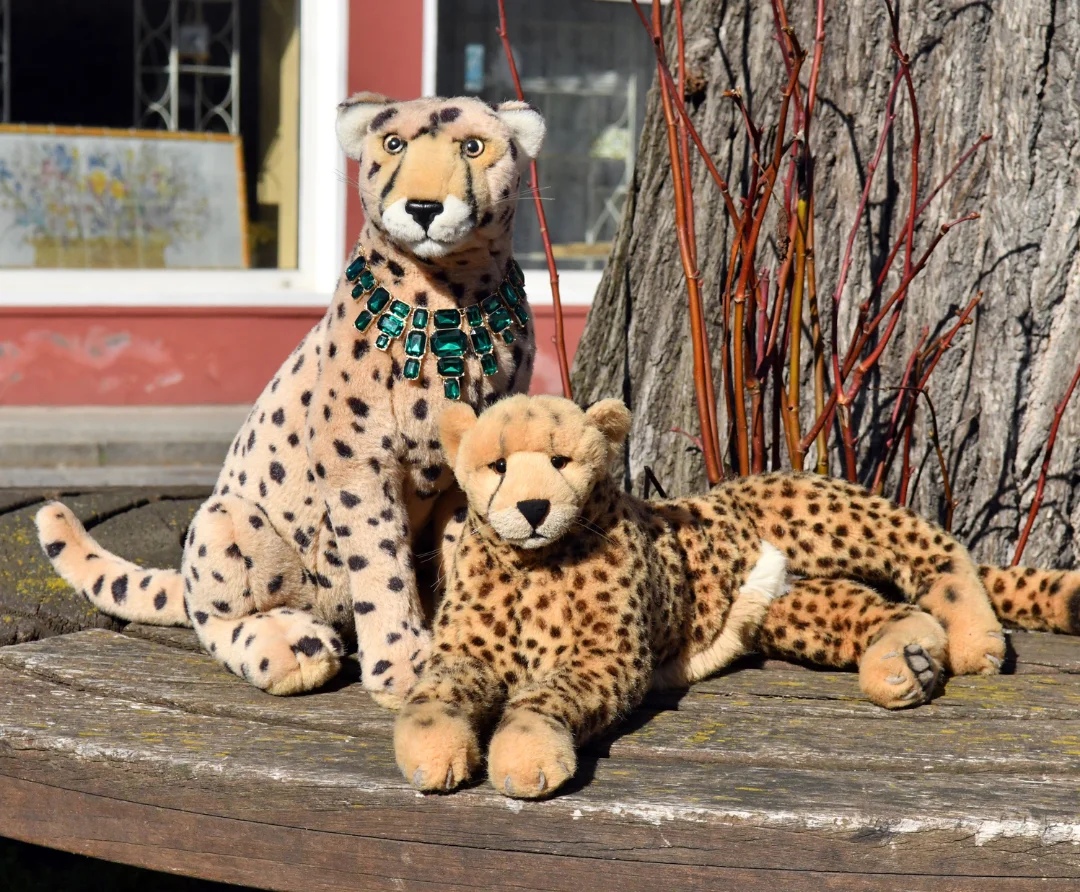 Photo by Juba Gepard on October 18, 2025. May be an image of cheetah, snow leopard, big cat, serval and text.