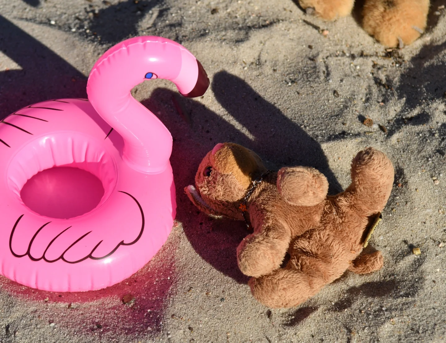 Photo by Juba Gepard on October 03, 2025. May be an image of flamingo and toy.