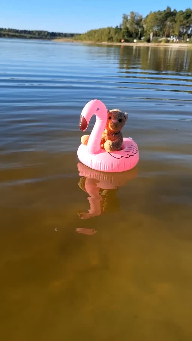 No water to cold for a ride on the flamingo floatie.  [#Flamingo] [#Floaties] [#Briesensee] [#Lake] [#Beach] [#Sun] [#Ausflug] [#JubaOnTour] [#PlushiesOfInstagram] [#PlushiesOfGermany] [#Plushie] [#Kuscheltier] [#plushies] [#plushiecommunity] [#instaplushies]...