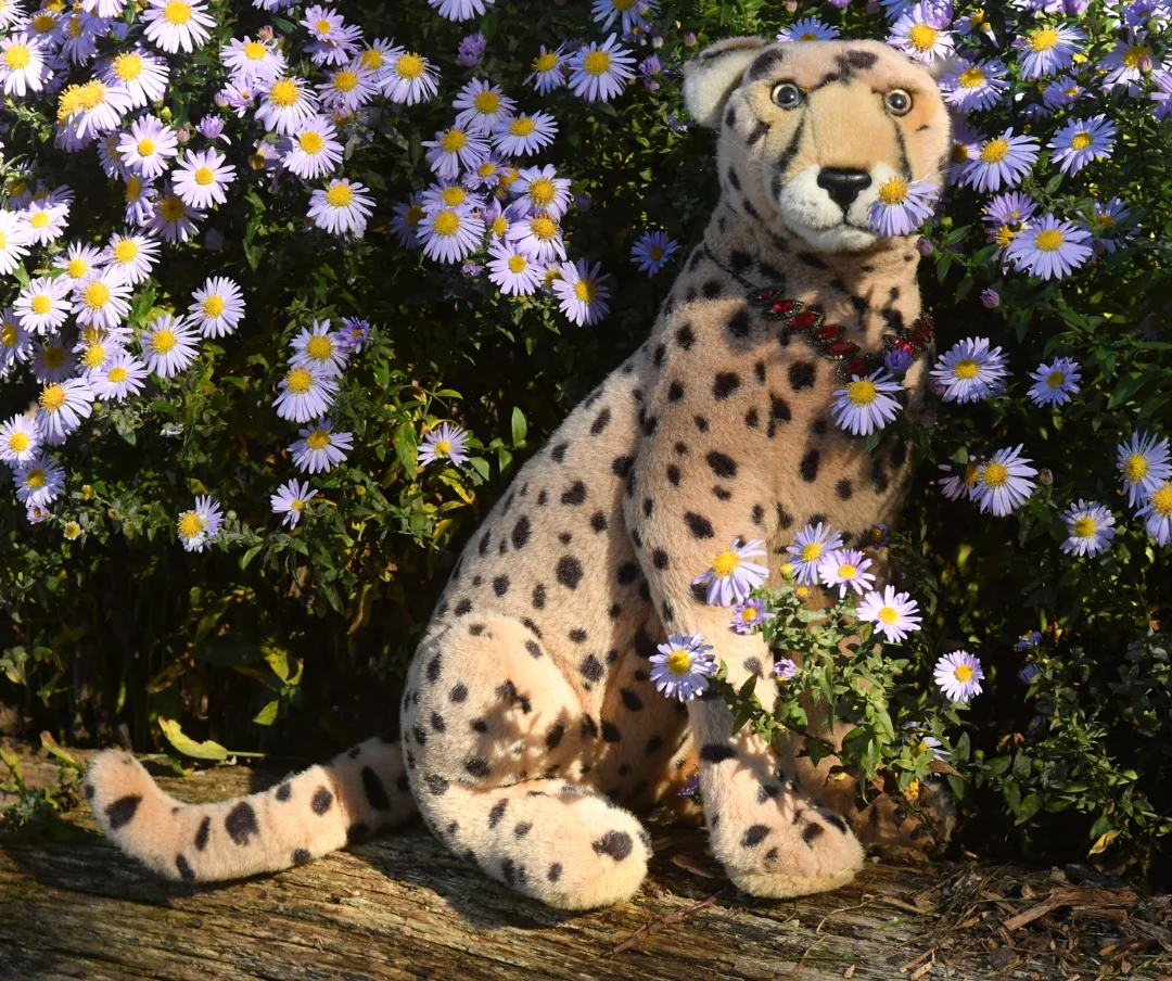 Photo by Juba Gepard on October 27, 2025. May be an image of cheetah, snow leopard, big cat and text.