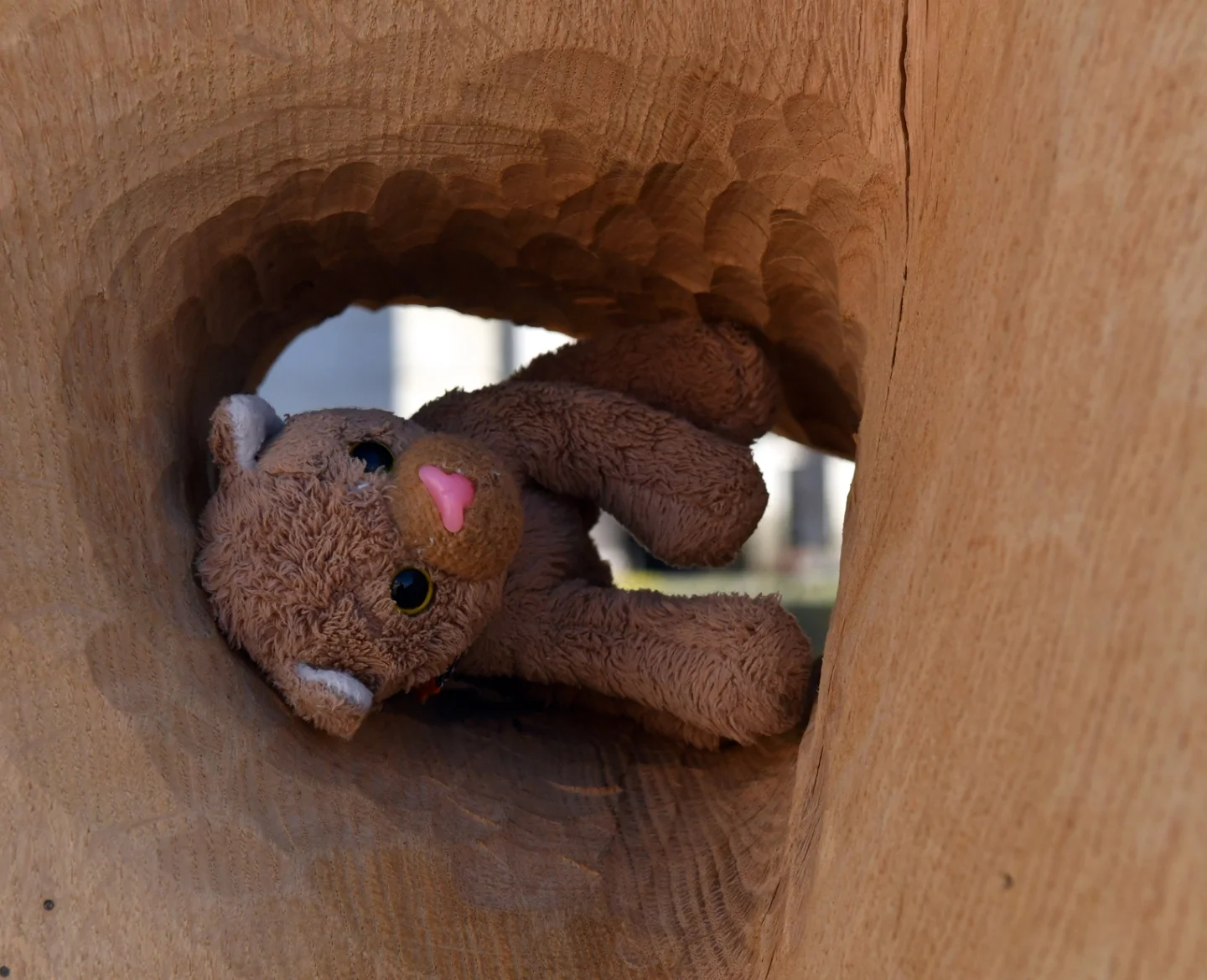 Photo by Juba Gepard on November 08, 2025. May be an image of bear, toy and text.