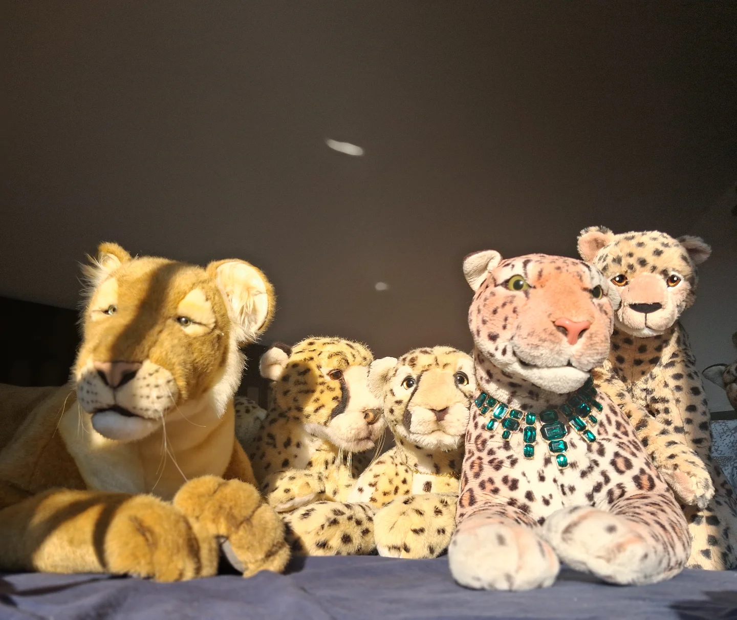 Photo by Juba Gepard on March 23, 2026. May be an image of big cat, snow leopard, tiger, lion and text.: Slide Nummer 142