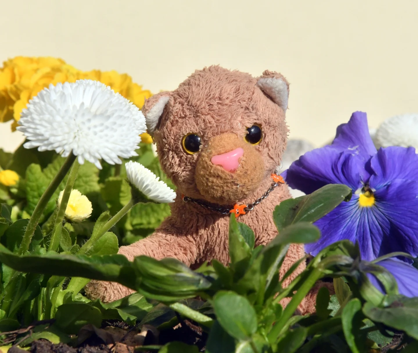 Photo by Juba Gepard on April 25, 2026. May be an image of bear, carnation and text.