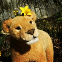 freundschaftohnegrenzen