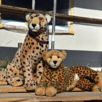 constructionmanagement