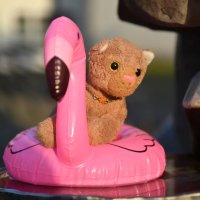 internationalflamingoday