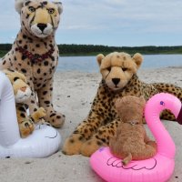 sicherheitsunterweisung