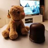 redbearsfridaynightmovienight