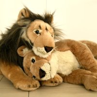 Show posts by tag: love