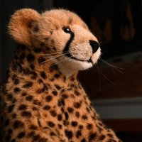 childrenofthesamemother