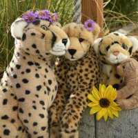 cheetahwedding