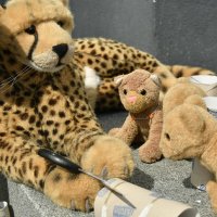 scoutslovemotherearth