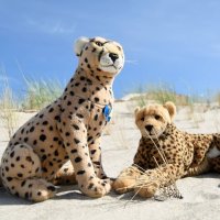 Show posts by tag: ostsee