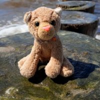 withstandingthewaves