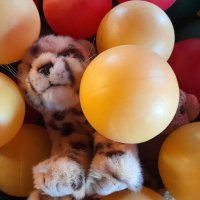 kartoffelsackrutsche