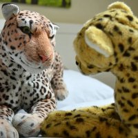 cuddlyplushiesaturday