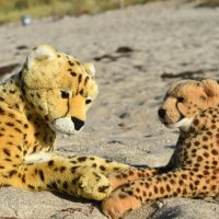 gespraechuntermaennern