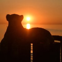 bestthingsinlifearefree