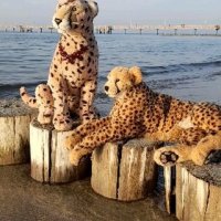 jubaanderostsee2023september