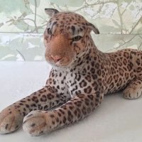tiatheleopard