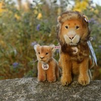 everythingthelighttouches